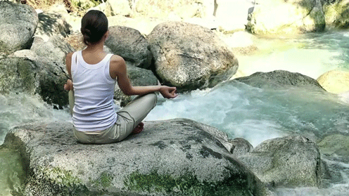 居然引来这么多蝴蝶小狼崽子,你别这么调皮行吗他们两个做朋友,早晚会
