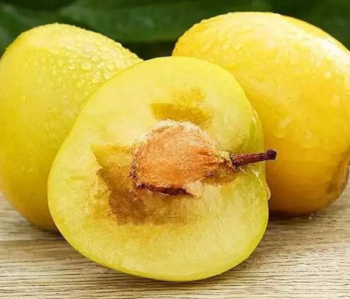 黄金奈李含有丰富的营养成分,药用价值高,功效和作用也很多,孕妇是