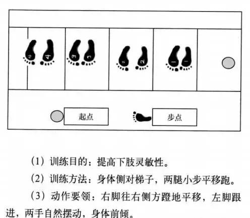 软绳梯的14种训练方法,赶紧收藏!