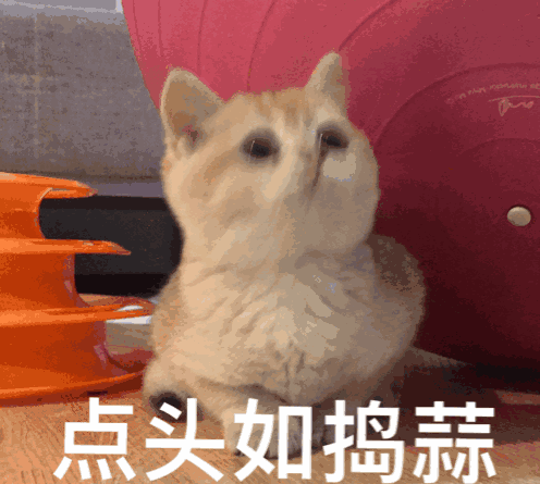 "很多事情,都是我们头脑一热自己想出来"