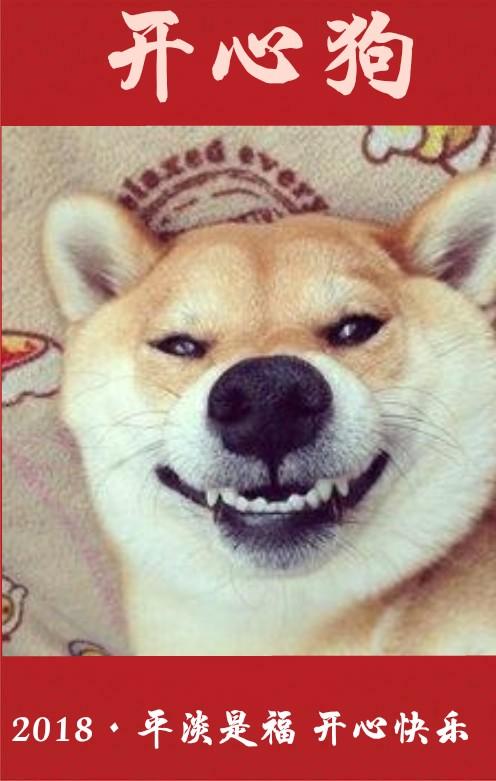 2018搞笑狗狗图片大拜年你是什么狗