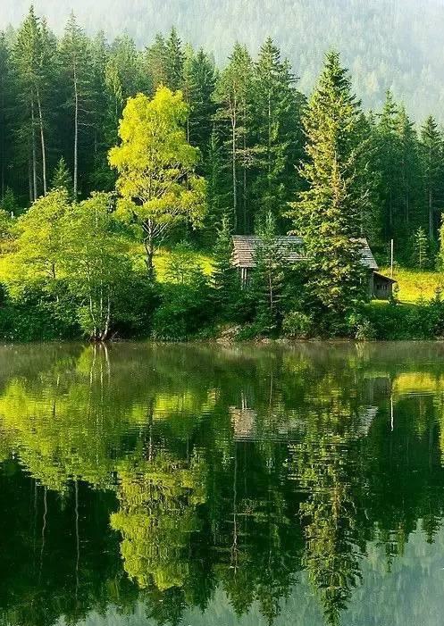 中国花鸟风景图:张张都是大自然的杰作,震撼人的心灵!