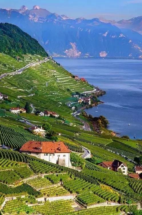 瑞士不仅生活安逸,风景更是美的一塌糊涂