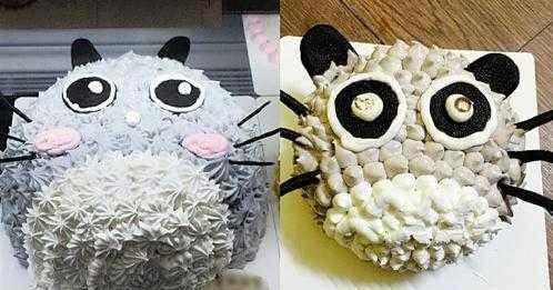 恐怖故事琪琪给朋友们订过几个惊为天人的蛋糕——先讲一个悲伤的故事