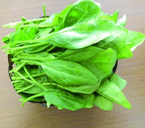 春季适合吃什么蔬菜,推荐你几款时令蔬菜