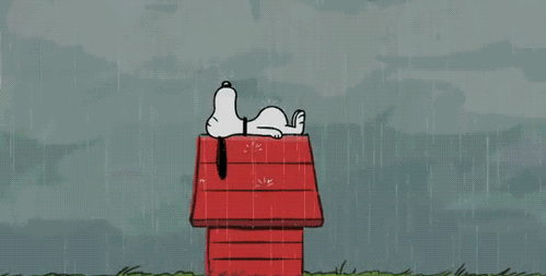 499_253gif 动态图 动图