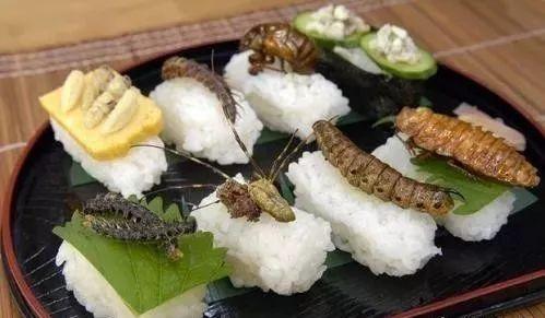 日本6个变态奇葩美食,我一个都不敢吃,你能接受哪个?