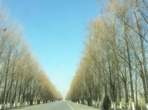 还没买车的有福啦!电动汽车2018年补贴新政策