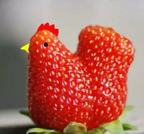 这些长相奇怪的蔬菜,看一个保证你就笑一次