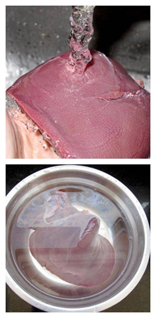 猪肝很好吃,可是为何你做的总是那么苦呢?