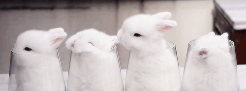 右边的室友,才是学生界的一股清流