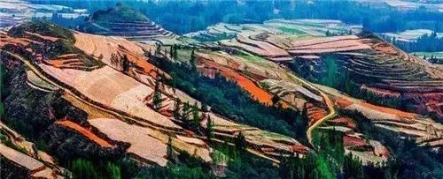 安丘短视频seo公司