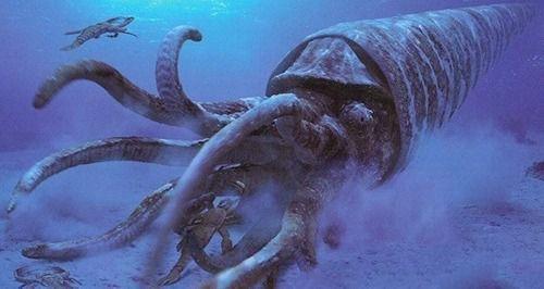 地球上10大史前巨兽第一梅尔维尔鲸第三野猪鳄第九远古蜈蚣