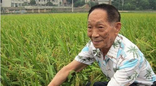 娱乐圈明星年收入曝光,为国家奉献一生的科学