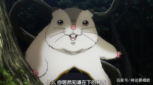 overlord有关森林贤王仓助的十三个秘密 萌化老