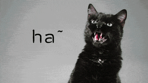 500_281gif 动态图 动图