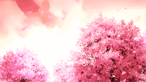 500_281gif 动态图 动图