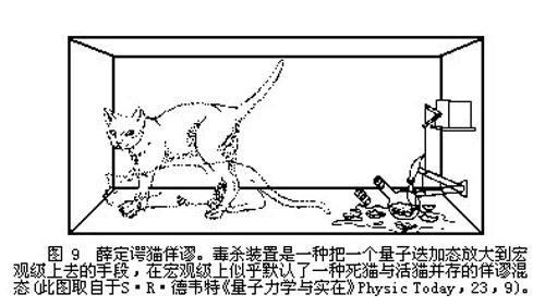 薛定谔的猫比喻什么图片