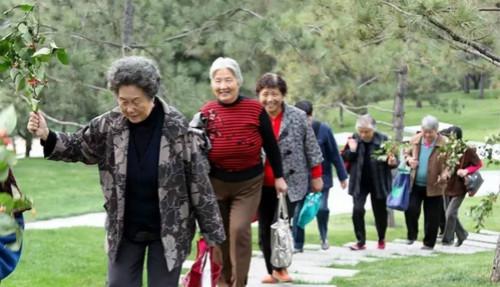 "旅居养老"受追捧,七成60岁以上受访者半年出游2次|养老|旅游|老人