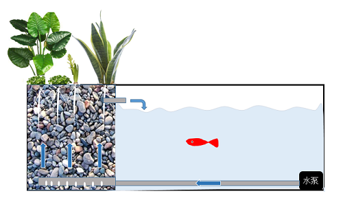 沼泽过滤(bog filter):一种原生态水处理技术