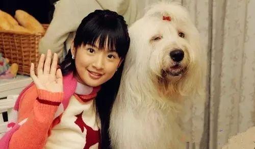 胡歌唯一动过真情的女演员,6年还清120万,女人最美就该如此!