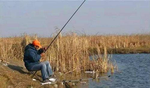 早春在草洞钓鲫鱼如何提高上钩率?!