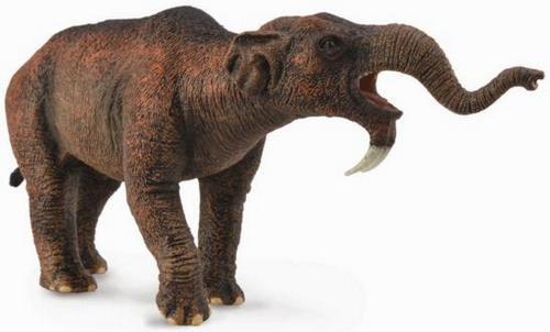 恐象:牙齿固定在下巴的巨型动物,牙齿用来压碎食物,如今已灭绝