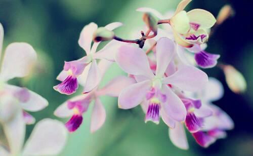 适合发朋友圈说说的心情句子 逗逼又扎心总有