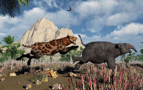 恐象:牙齿固定在下巴的巨型动物,牙齿用来压碎食物,如今已灭绝