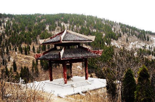 "彭城视窗 看天下"之:曾经刀光剑影的徐州九里山古战场