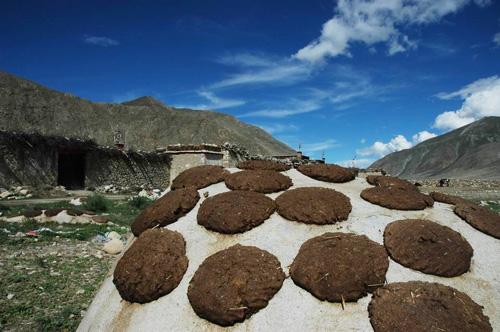 勘探证实,全岛六分之五的土地都是磷矿,厚达5—10米,含磷37%以上,为