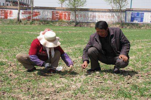 我国农村土地 承包地变成自留地怎么办? 这些