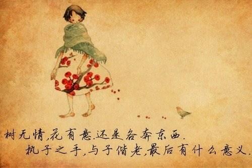 流年清欢,余生安暖
