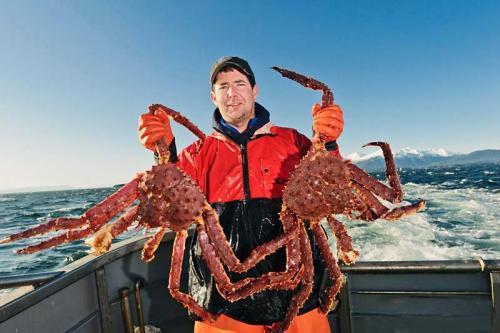 帝王蟹是什么蟹?竟然还有皇帝蟹?