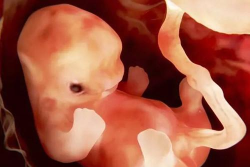 怎样才能生男孩胎儿性别早知道仅3招