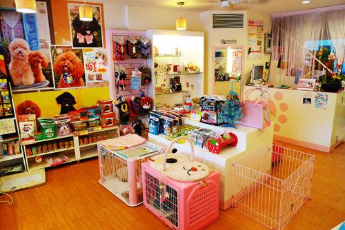 这4个小项目值得信赖