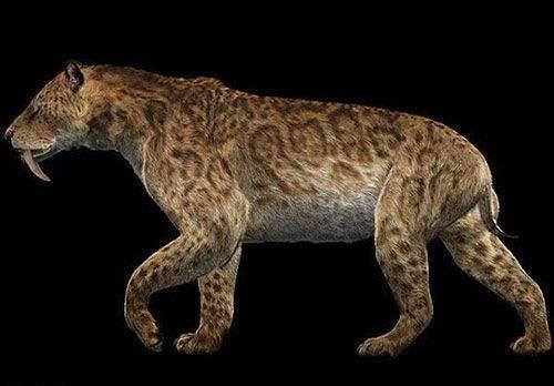 许多学者认为,这可能是史前的巨颏虎.