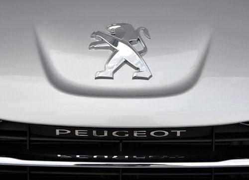 14个车标都是动物80以上人养不起90以上人买不起