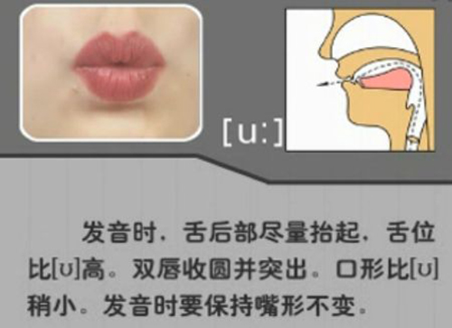 所有语言的元音都只有aiueo这五个吗?为什么不是别的音?|字母|语言|舌尖_新浪新闻