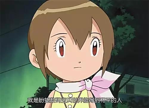 同时为了不去保护他们而孕育专门的数码宝贝,同时留下了玄内这种辅佐