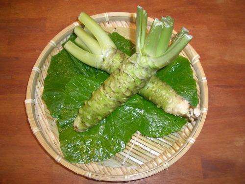 全世界最昂贵的蔬菜,却长成这样,1000元1斤!你吃过吗?