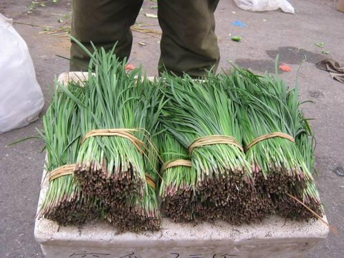 在非洲,韭菜竟成抢手货!一捆换一麻袋大龙虾?还送两条羊腿!