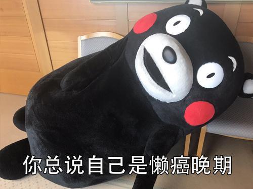 穷人的苦熊本熊斗图表情包搞笑图片