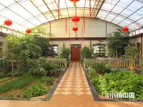 那些美的不要不要的农家乐庭院是什么样的?一起来看看!