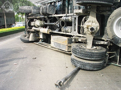 要如何解救？巨蟒缠死牛犊，母牛凄惨“哞哞”叫，主人...