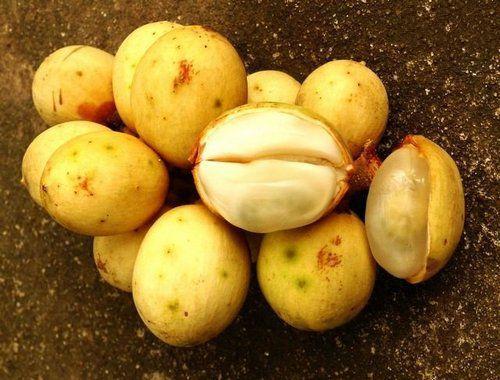 世界10大最不常见的水果, 第一在中国禁止出口, 国宝级珍贵植物