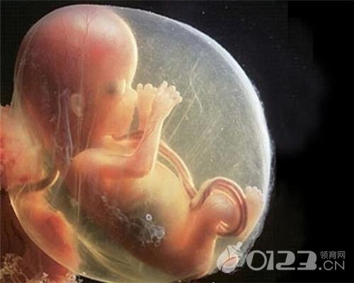 重随着孕周变化而变化 胎儿体重标准对照表 供