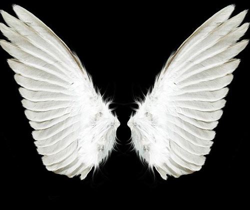 心理测试:选一对羽毛翅膀,测你下一世出生的时代?我造神时代