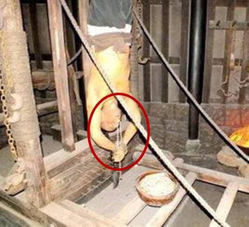 日军发明的"四脚牛,二龙吐须"酷刑, 是怎么样的?