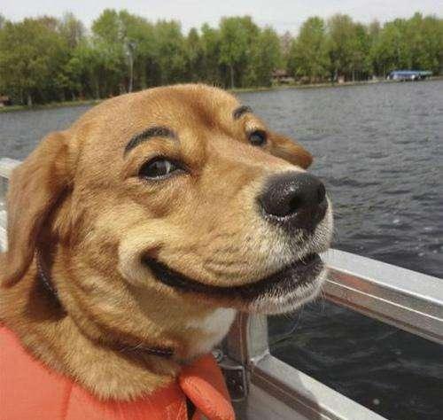 再不笑,你就老啦